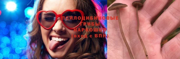 spice Алзамай