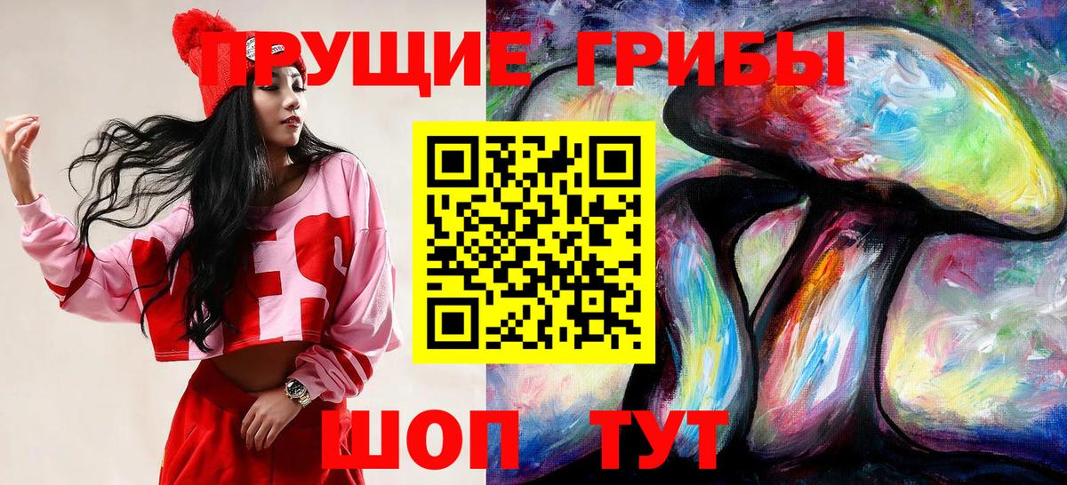 Псилоцибиновые грибы Psilocybe Калач-на-Дону